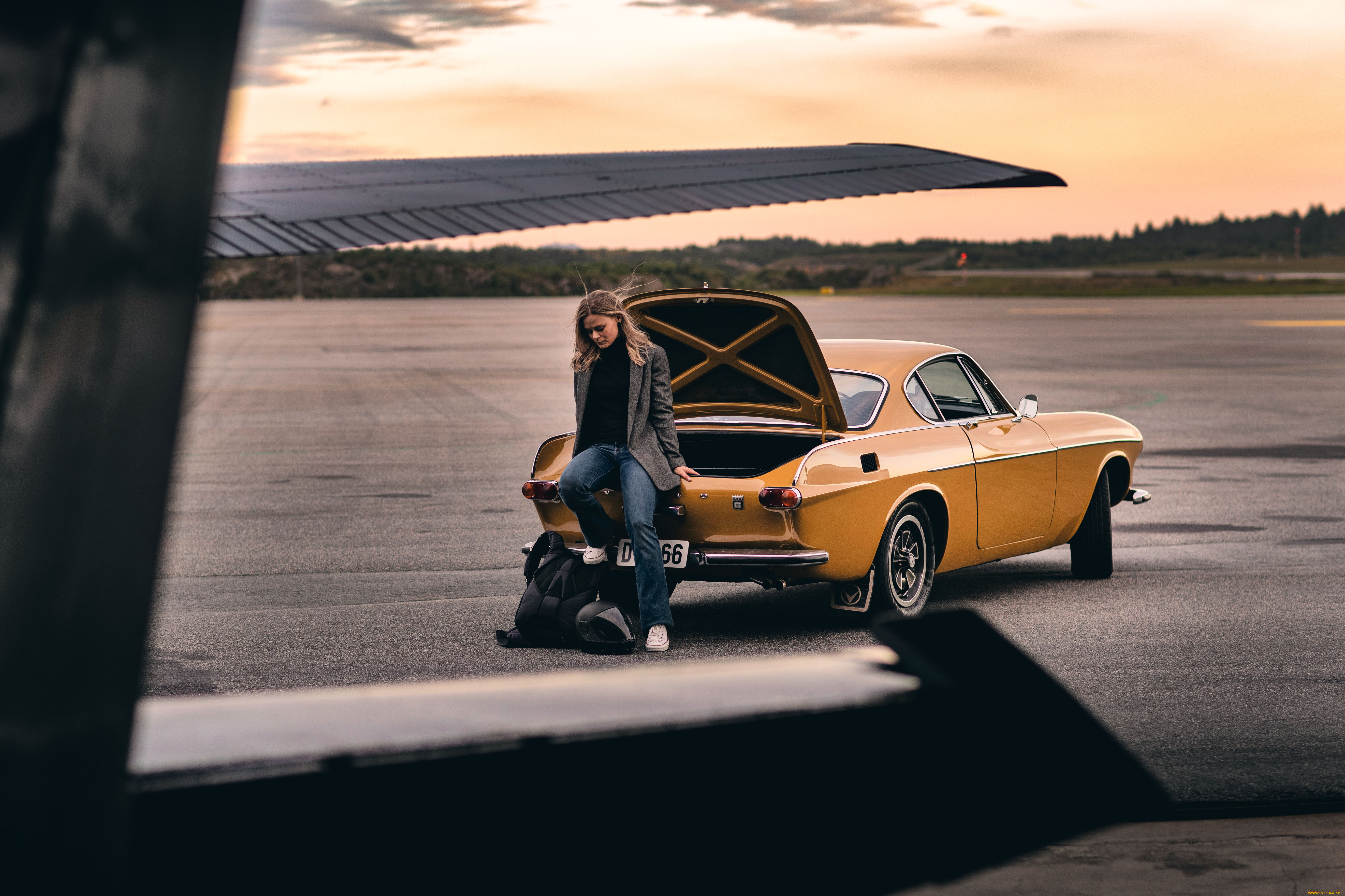 ����������, volvo